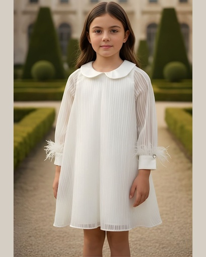 فستان اكمام ريش قبة BR5317